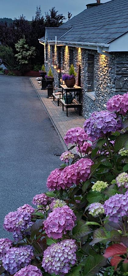 Kenmare Driftwood Bed & Breakfast 외부 사진
